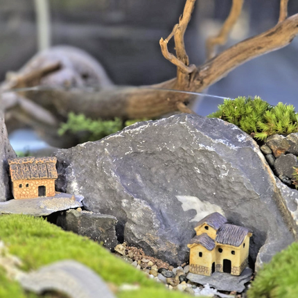 Live Moss Terrarium Glass Bowl | Miniature Village Garden | Zen Rock Scenery
