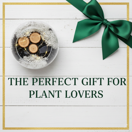 DIY Terrarium Kit – Frosted Forest Miniature Indoor Garden Christmas Gift