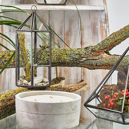 Glass Terrarium - Large Octagon