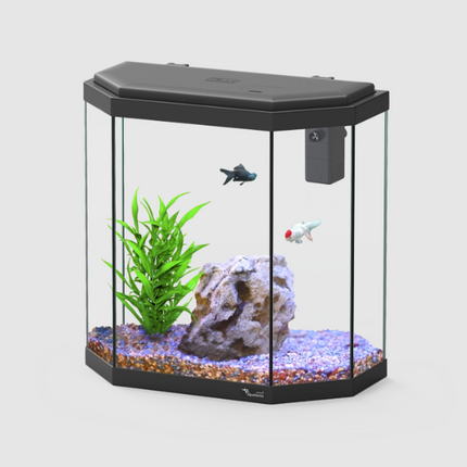 Aquatlantis Explorer Rome 30L Aquarium Fish Tank with Safe LED & Bio Filter 200