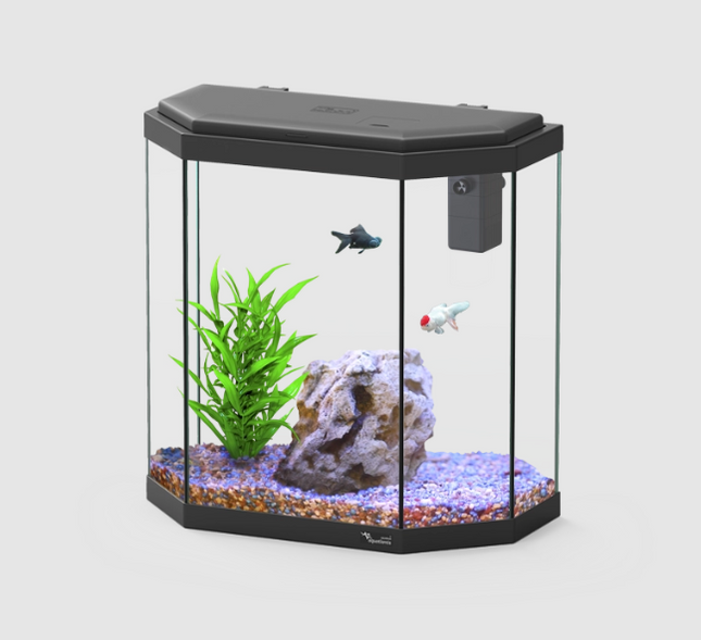 Aquatlantis Explorer Rome 30L Aquarium Fish Tank with Safe LED & Bio Filter 200