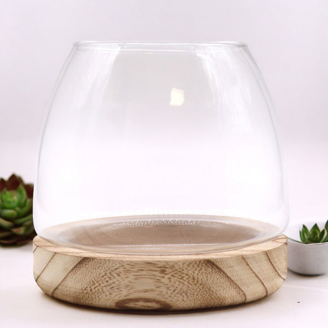 Medium Terrarium on Natural Tung Wood