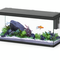 Aquatlantis Explorer Amsterdam 85L Aquarium Fish Tank with Safe LED & Bio Filter