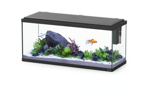 Aquatlantis Explorer Amsterdam 85L Aquarium Fish Tank with Safe LED & Bio Filter