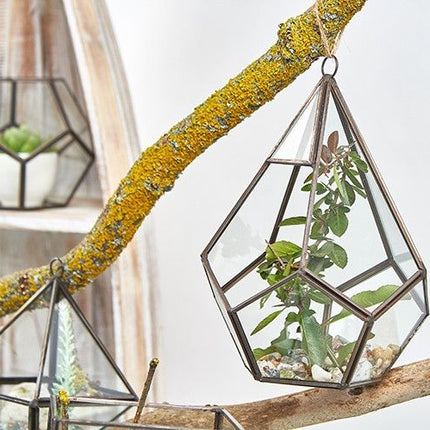 Glass Terrarium - Large Pentagon