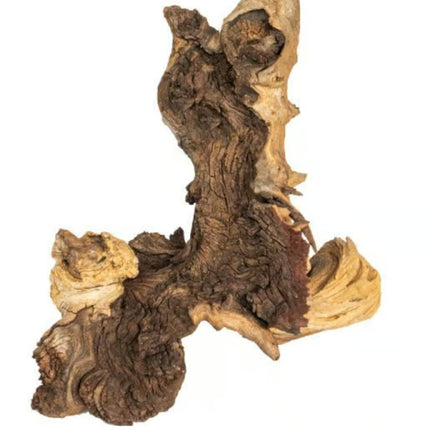 Mopani Wood Natural Mopani Driftwood Aquascape Wood Aquarium 10-20cm Small