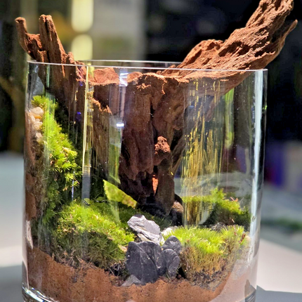 Handcrafted Woodland Moss Terrarium | Low Maintenance Indoor Desk Plant & Decor