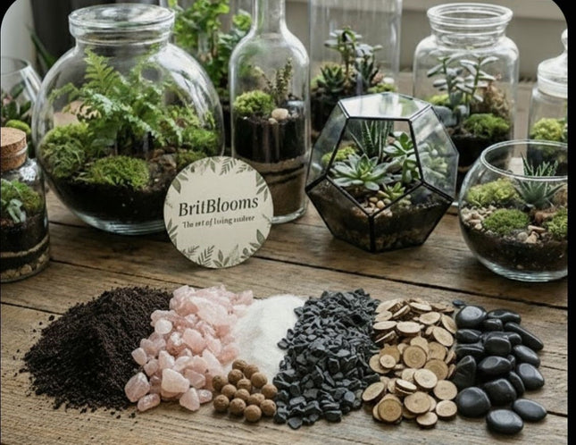 Crystal Terrarium Kit DIY – Grow Your Own Mini Crystal Garden – Unique DIY KIT