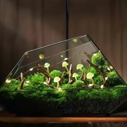 Crystal Terrarium Kit DIY – Grow Your Own Mini Crystal Garden – Unique DIY KIT