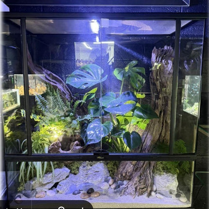 SMART LINE aquaterrarium (Terrarium Vivarium Aquaterrarium)