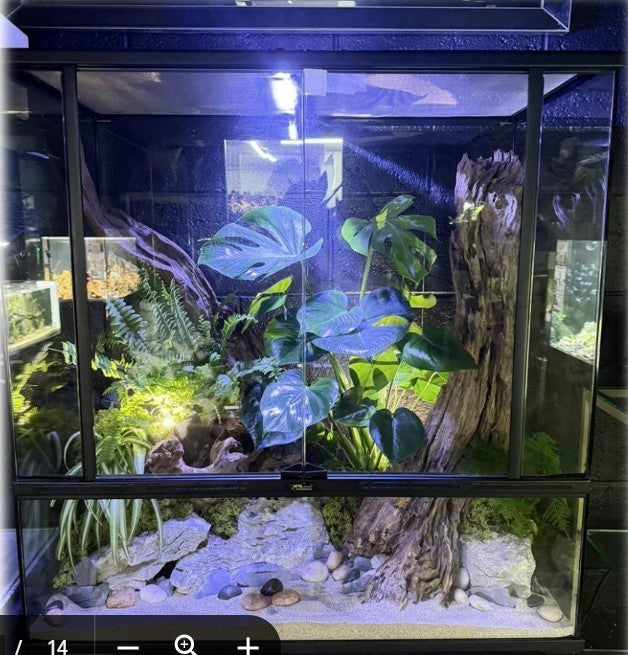 SMART LINE aquaterrarium (Terrarium Vivarium Aquaterrarium)