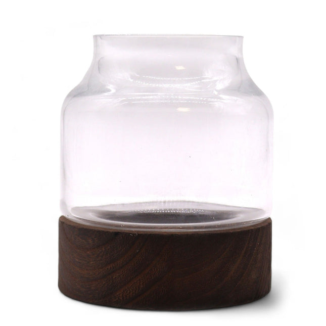 Small Shaped Terrarium on Dark Tung Wood
