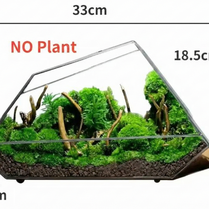 Crystal Terrarium Kit DIY – Grow Your Own Mini Crystal Garden – Unique DIY KIT