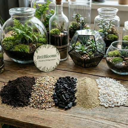 Premium Closed Terrarium DIY Kit–Soil, Gravel, Charcoal, Sand & white Quartz Set