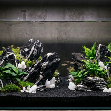 Monochrome Aquascaping Rock Set – Galaxy Black Stone, White Quartz & Black Sand