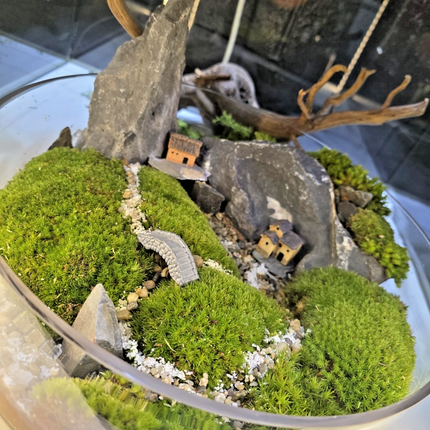 Live Moss Terrarium Glass Bowl | Miniature Village Garden | Zen Rock Scenery