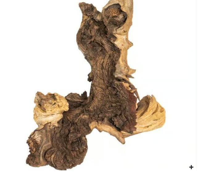 Mopani Wood Natural Mopani Driftwood Aquascape Wood Aquarium 10-20cm Small