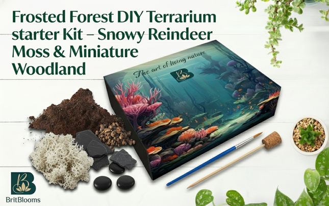 DIY Terrarium Kit – Frosted Forest Miniature Indoor Garden Christmas Gift