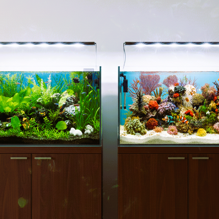 Aquarium Background AquaDella DoubleSided Durable Plastic Foil Aquarium Backdrop