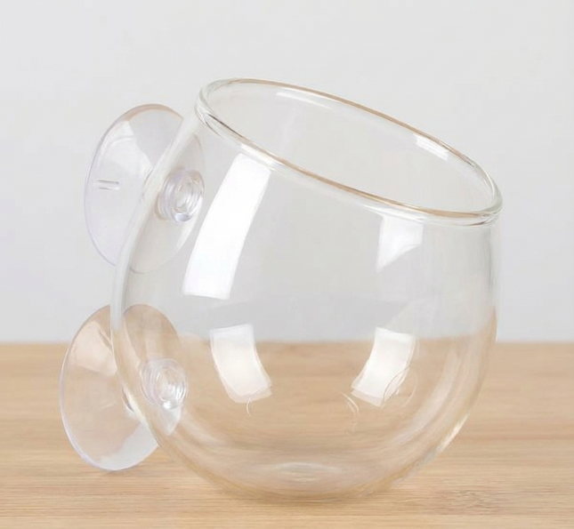 AquaDella Glass Plant Cup - Crystal Clear Aquarium Pot & Coral Frag Holder