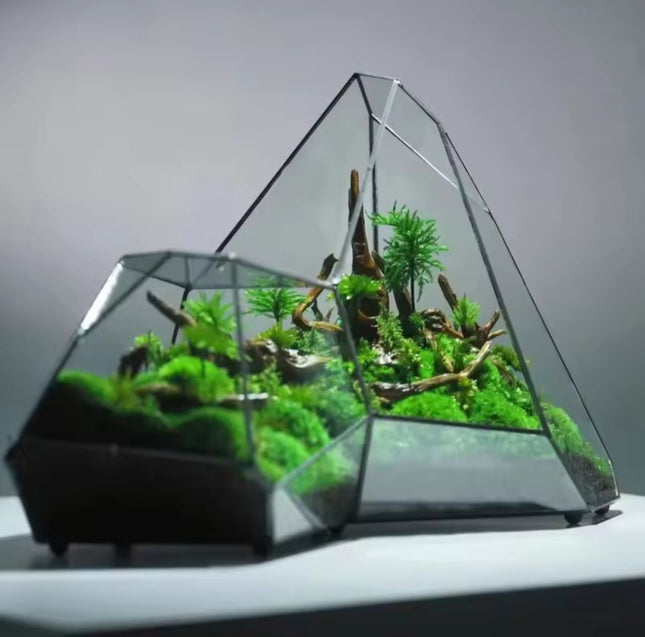 Crystal Terrarium Kit DIY – Grow Your Own Mini Crystal Garden – Unique DIY KIT