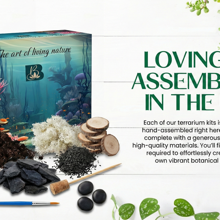 Frosted Forest DIY Terrarium Starter Kit