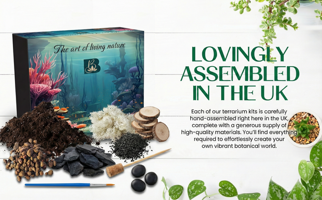 Frosted Forest DIY Terrarium Starter Kit