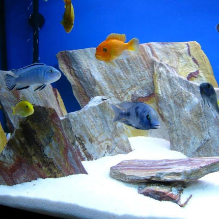 Slate Quartz Rock – Premium Aquascaping Hardscape Stone