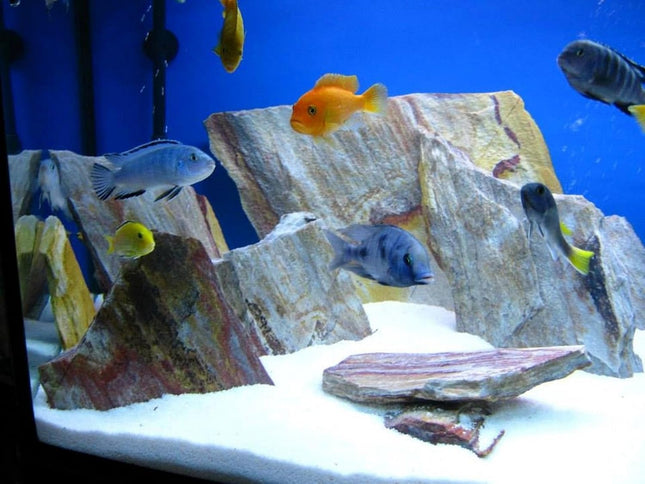 Slate Quartz Rock – Premium Aquascaping Hardscape Stone