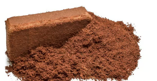 GiganTerra COCO Brick Substrate 650g