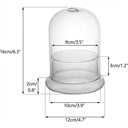 All-in-One Terrarium Kit with Plant