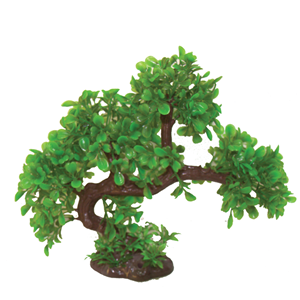 Hugo Bonsai Summer 23 cm