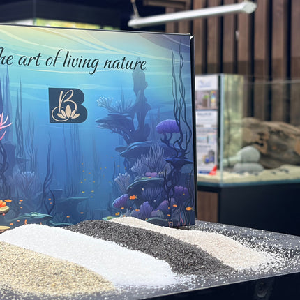 Premium Natural Aquarium Sand Collection – Speckled, White Quartz, Black & Pewter