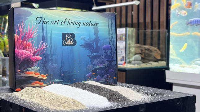 Premium Natural Aquarium Sand Collection – Speckled, White Quartz, Black & Pewter