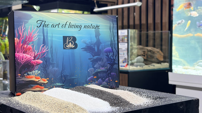 Premium Natural Aquarium Sand Collection – Speckled, White Quartz, Black & Pewter
