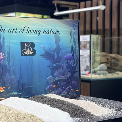 Premium Natural Aquarium Sand Collection – Speckled, White Quartz, Black & Pewter