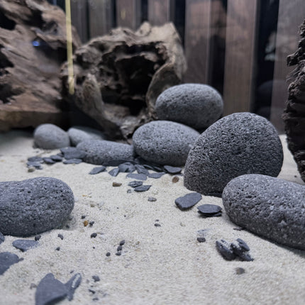 Natural Silver River Sand – Premium Aquarium & Terrarium Substrate