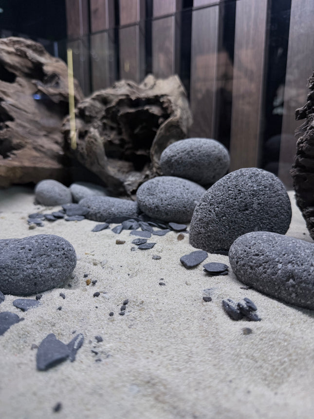 Natural Silver River Sand – Premium Aquarium & Terrarium Substrate