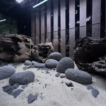 Natural Silver River Sand – Premium Aquarium & Terrarium Substrate