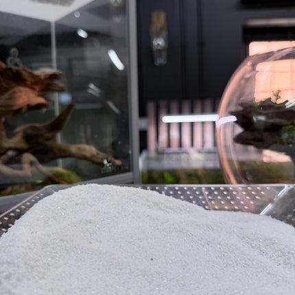 White Quartz Sand – Premium Natural Aquarium & Terrarium Substrate
