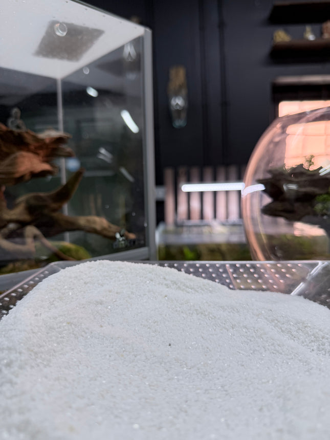 White Quartz Sand – Premium Natural Aquarium & Terrarium Substrate