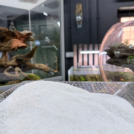 White Quartz Sand – Premium Natural Aquarium & Terrarium Substrate