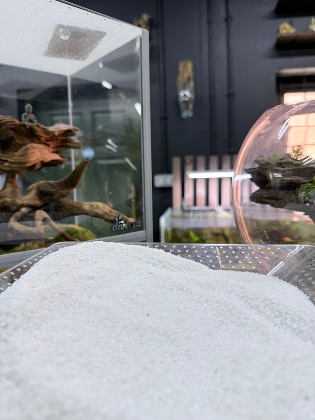 White Quartz Sand – Premium Natural Aquarium & Terrarium Substrate