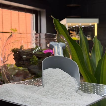 White Quartz Sand – Premium Natural Aquarium & Terrarium Substrate