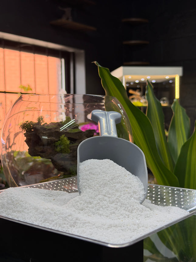 White Quartz Sand – Premium Natural Aquarium & Terrarium Substrate
