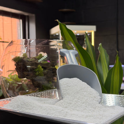 White Quartz Sand – Premium Natural Aquarium & Terrarium Substrate