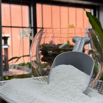 White Quartz Sand – Premium Natural Aquarium & Terrarium Substrate