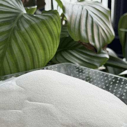 Moon Light Sand – Premium Decorative Aquarium & Terrarium Substrate