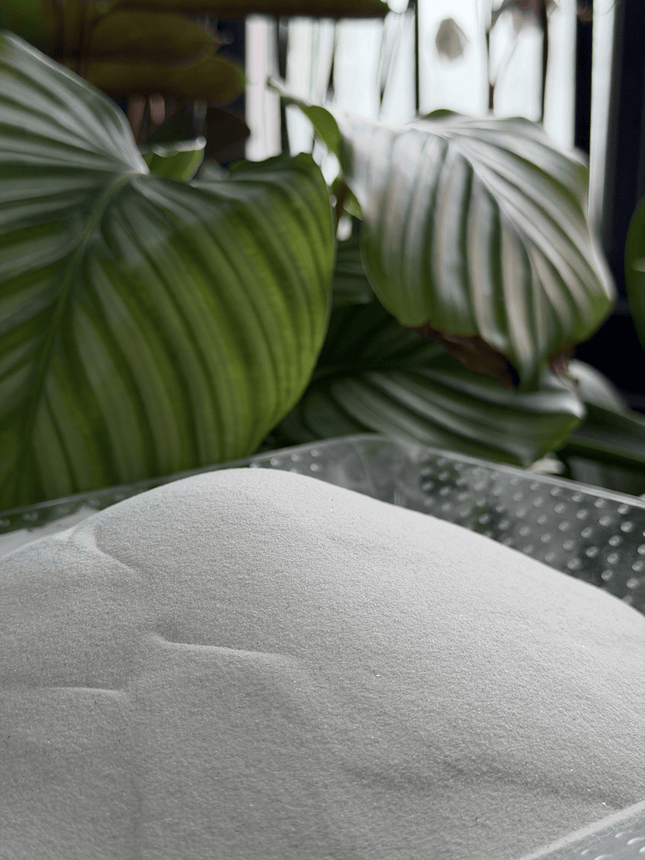 Moon Light Sand – Premium Decorative Aquarium & Terrarium Substrate