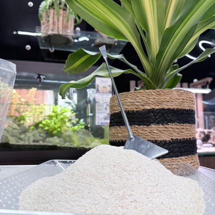 Premium Coral Sand Substrate for Aquariums, Marine Tanks & Terrariums